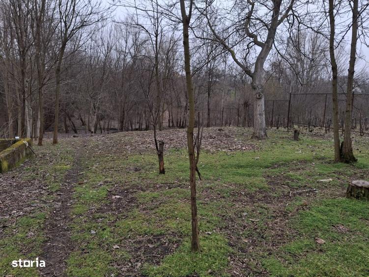 Casă cu 4 camere în Preajba