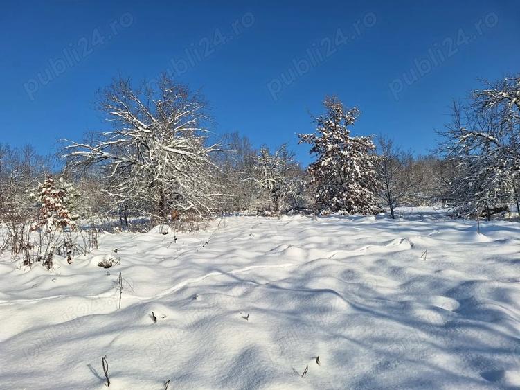 Teren de 2880 mp, în Mustești