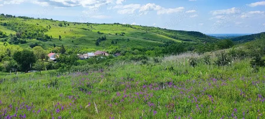 Teren de 5000 mp, în Boboci