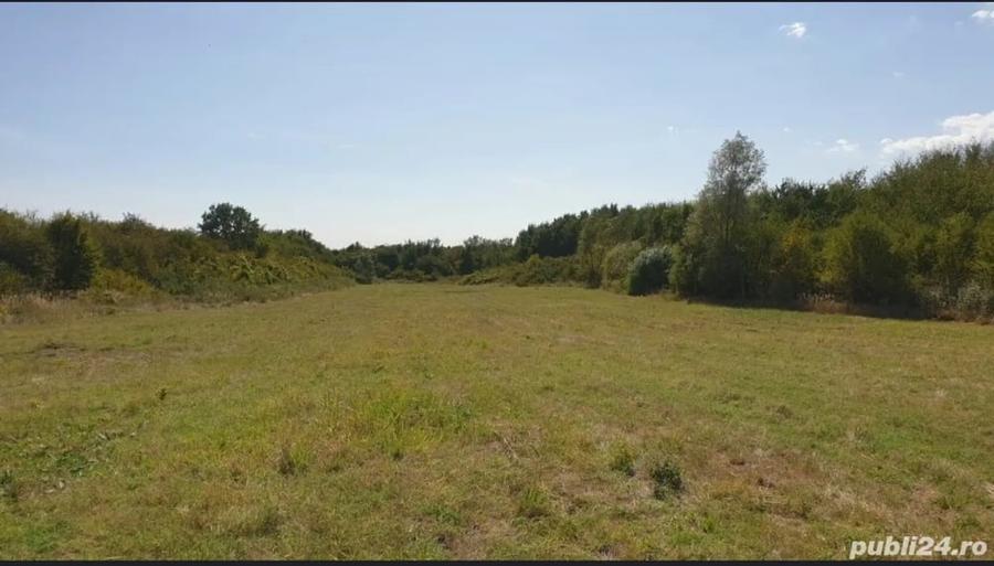 Teren de 60000 mp, în Plopu