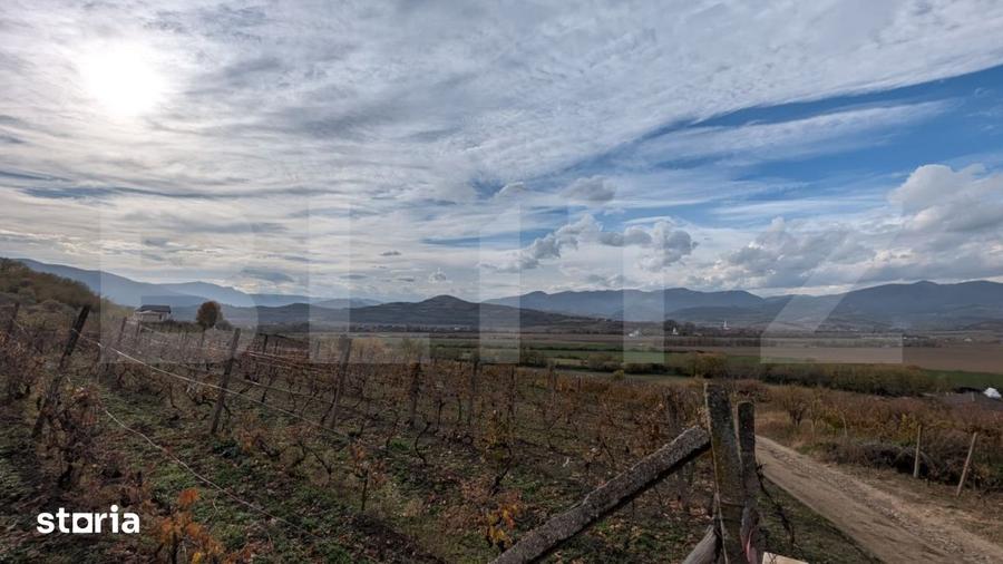 Teren de 2000 mp, în Almașu Mare