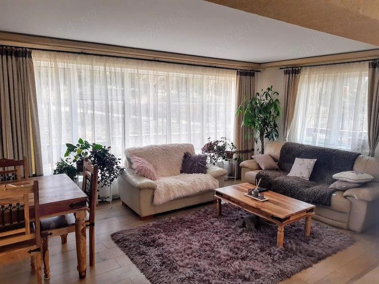 Casa + Afacere de vanzare - Corbeni Arges - 2