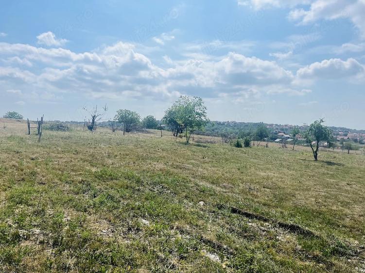 Teren de 1377 mp, în Oncea