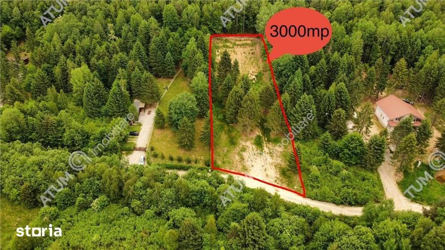 Teren de 3000 mp, în Porumbacu de Jos