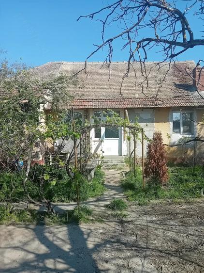 Casă cu Teren 1897 Mp în Ghilad