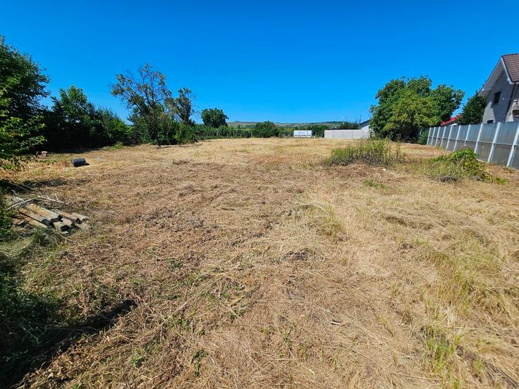 Casă individuală cu 5 camere cu Teren 2974 Mp în Albești-Paleologu
