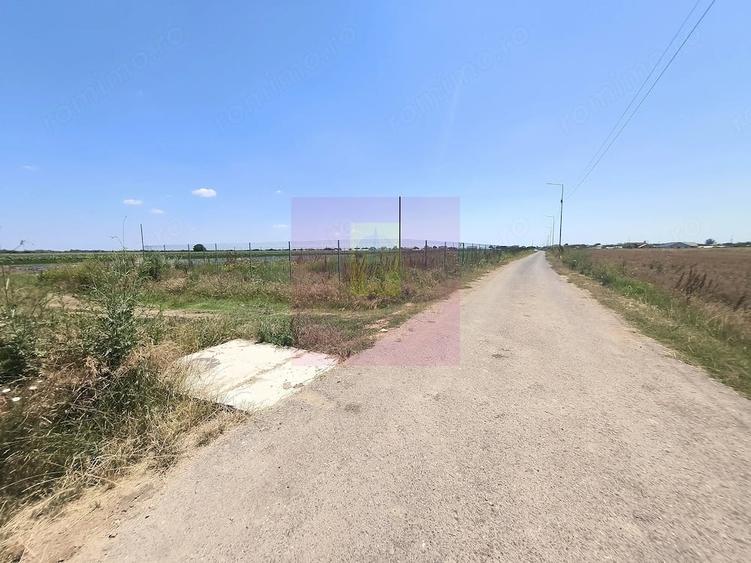 Teren de 582 mp, în Copăceni