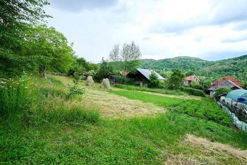 Casă cu 3 camere cu Teren 4696 Mp în Central