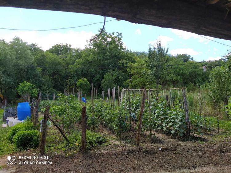 Casă cu 3 camere în Șeulia de Mureș