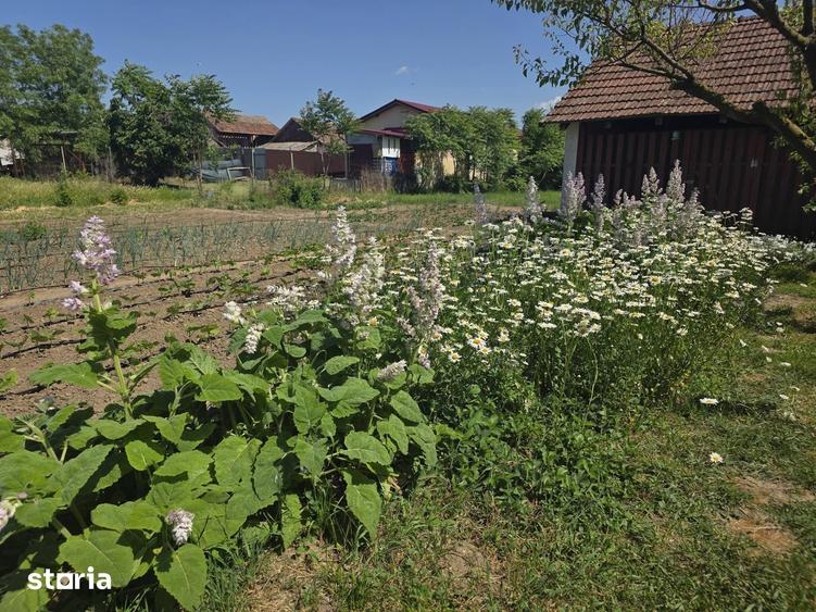 Casă cu 7 camere cu Teren 1230 Mp în Borș