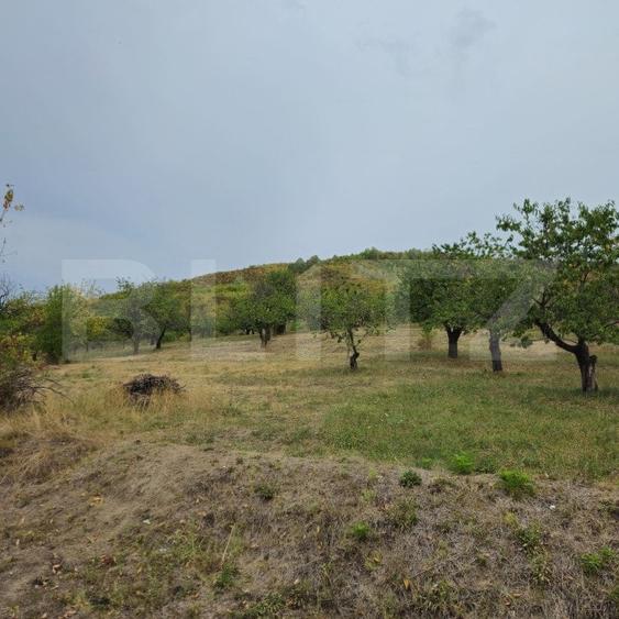 Teren Construcții intravilan de 17524 mp, în Viforâta