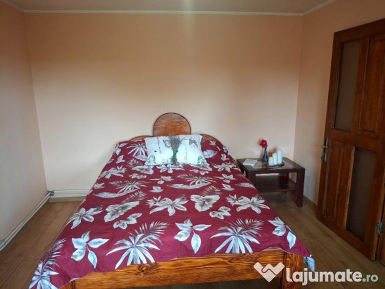 Casă individuală cu 2 camere cu Teren 1644 Mp în Burlești