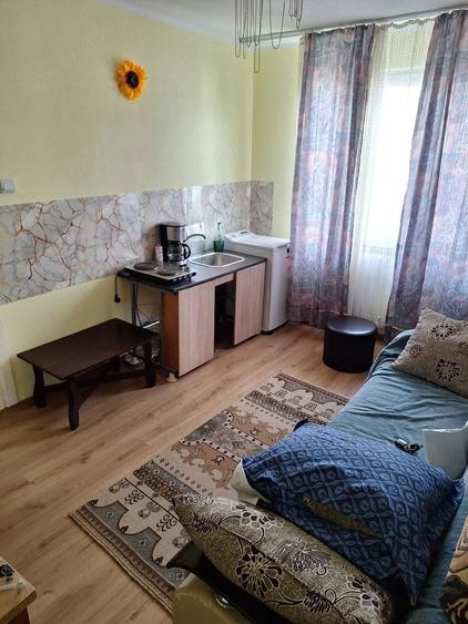 Garsonieră nedecomandată în Central