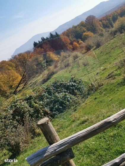 Teren de 5400 mp, în Mănești