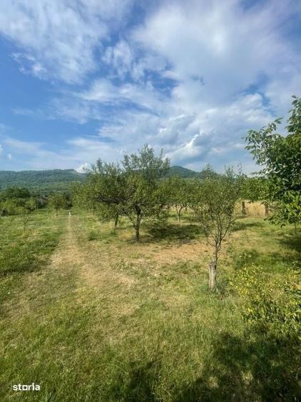 Teren intravilan, 25 ari, zona Tauti de Sus - 3