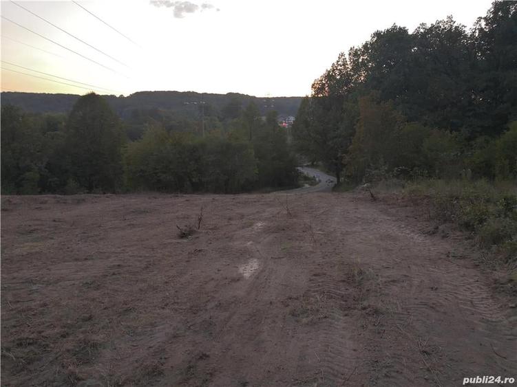 Teren de 6446 mp, în Smeura