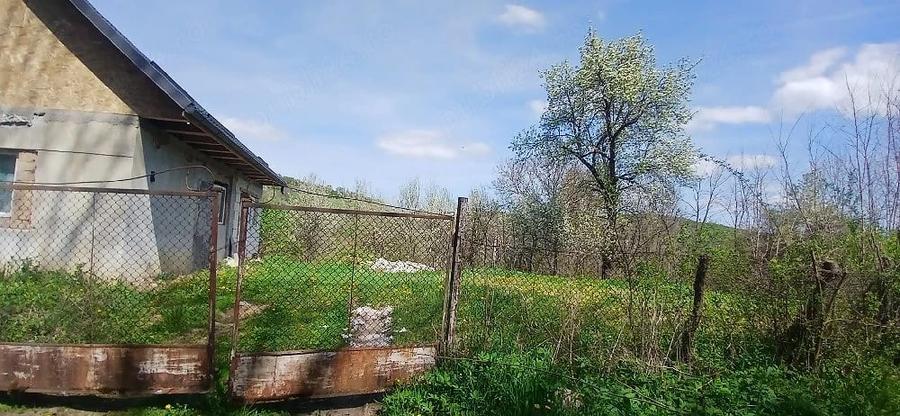 Casă cu Teren 8000 Mp în Mădăraș