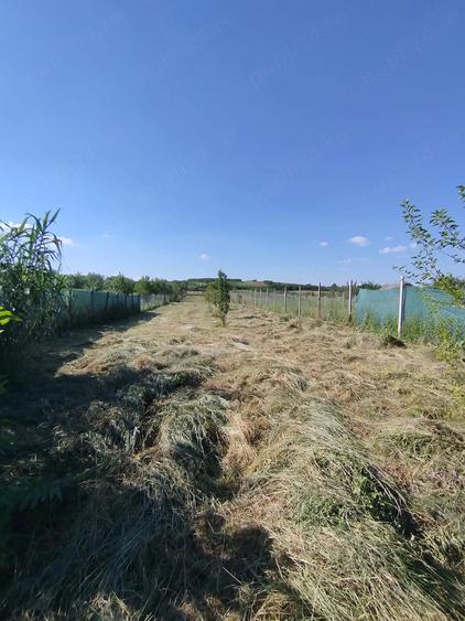 Teren de 1300 mp, în Central