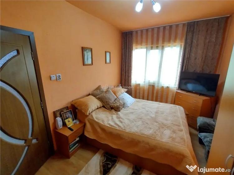Apartament cu 3 camere decomandat în Bozovici