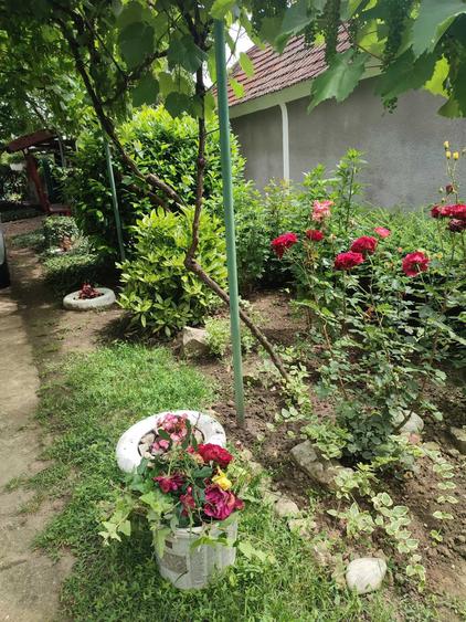 Casă cu 3 camere în Poclușa de Barcău