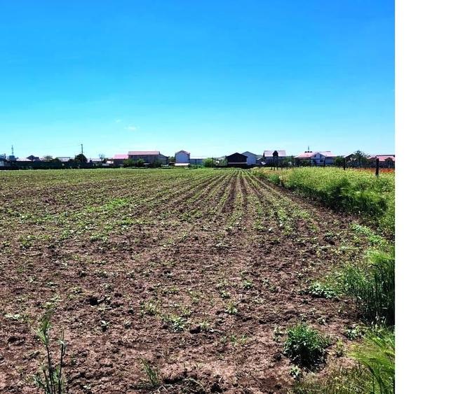 Teren Construcții intravilan de 3998 mp, în Exterior Vest