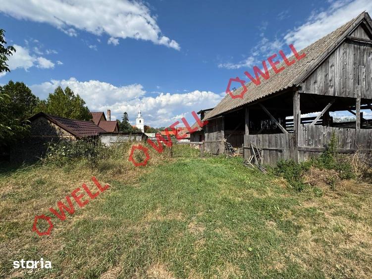 Casă cu Teren 4669 Mp în Boroșneu Mare