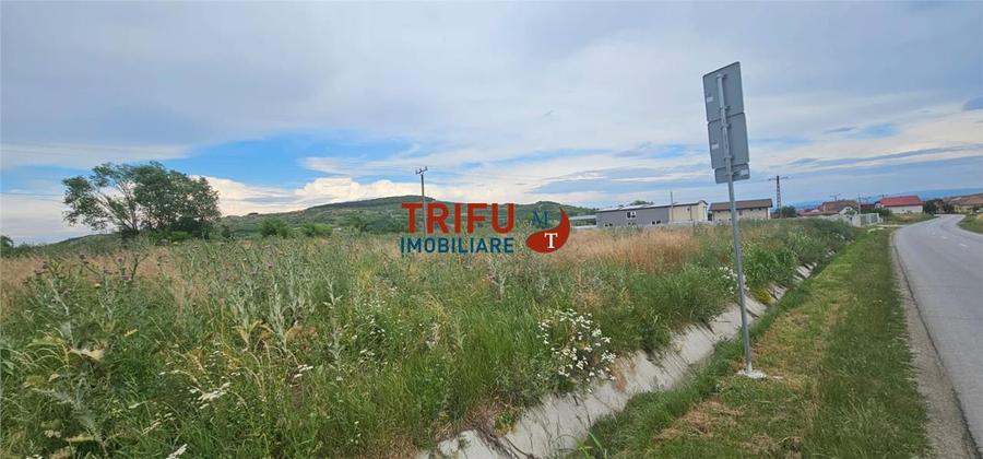 Teren Construcții intravilan de 9087 mp, în Ighiu
