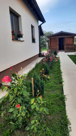 Casă cu 2 camere cu Teren 795 Mp în Buturugeni
