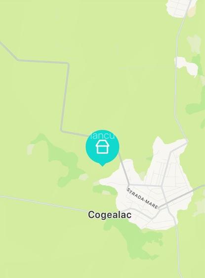 Teren de 100000 mp, în Cogealac