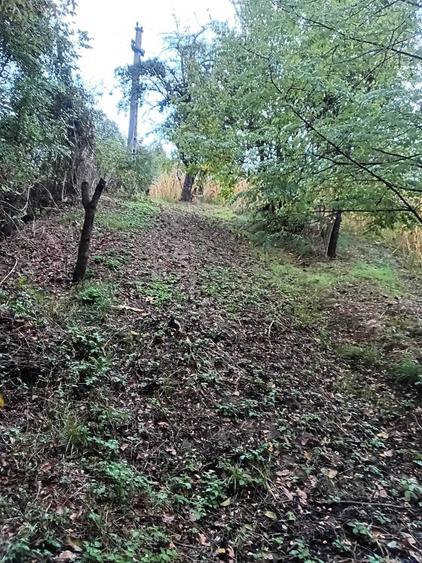 Casă cu 4 camere în Vizantea Mănăstirească