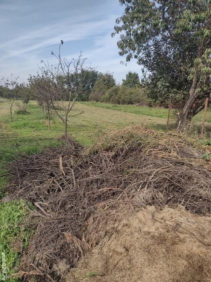 Casă cu 3 camere în Central