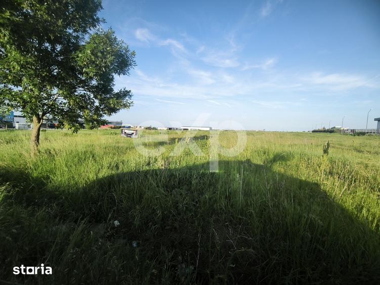 Teren de 4000 mp, în Albota