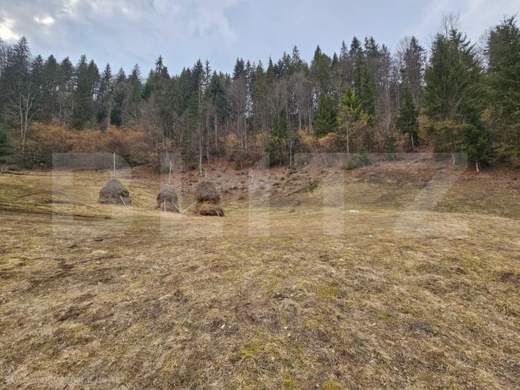 Teren Construcții extravilan de 11480 mp, în Scărișoara