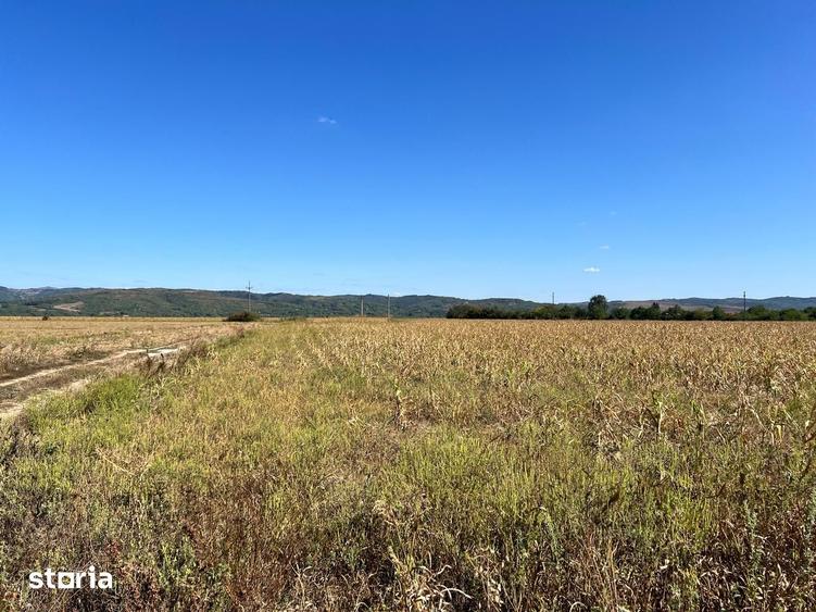 Teren de 1600 mp, în Podenii Noi