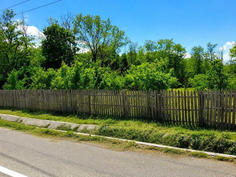 Teren de 1570 mp, în Băbana