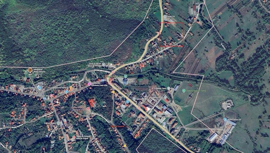 Teren Intravilan de Vanzare in Baia de Arama 3815mp - 3