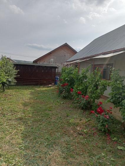 Casă cu 2 camere în Central
