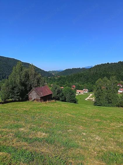 Teren de 8000 mp, în Bran