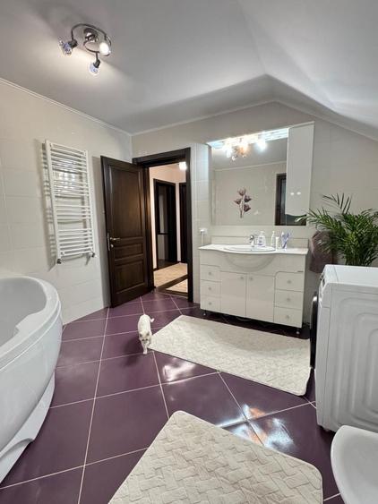 Apartament cu 4 camere în Ipotești