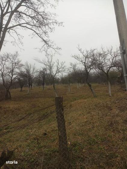 Teren de 3100 mp, în Berislăvești