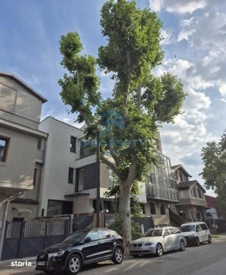 Casă cu 4 camere în Parcul Carol
