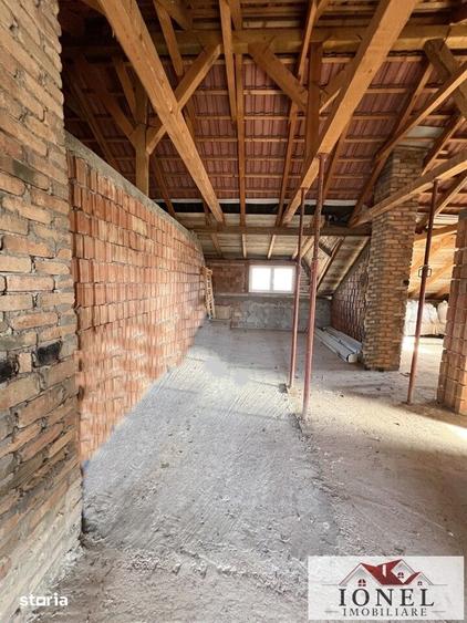 Casă cu Teren 6000 Mp în Teiu