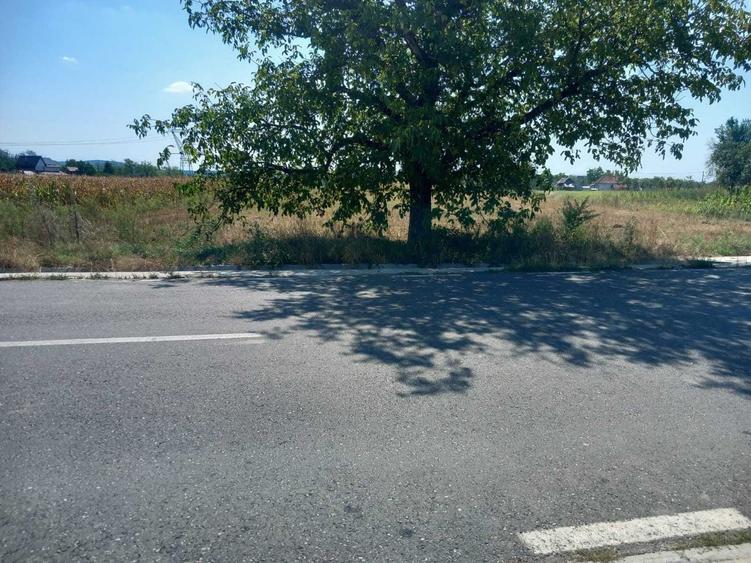 Teren de 5013 mp, în Bratia din Deal