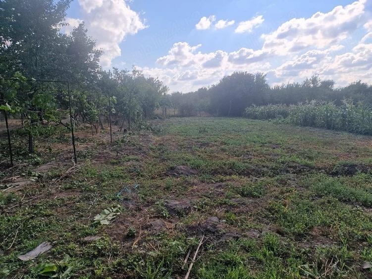 Casă cu Teren 1439 Mp în Cermei