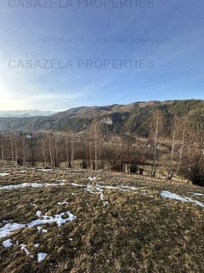 Teren Construcții extravilan de 25426 mp, în Bran