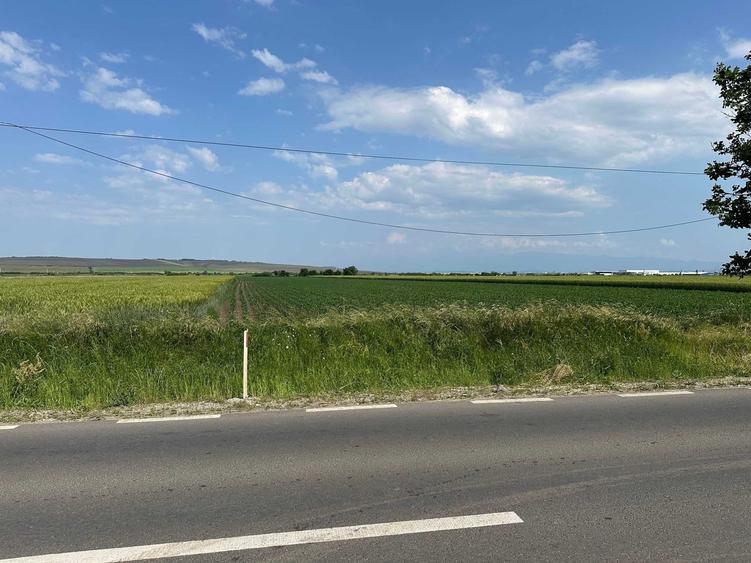 Vand teren 18.100 mp pentru dezvoltare in Sura Mica / jud. Sibiu - 2
