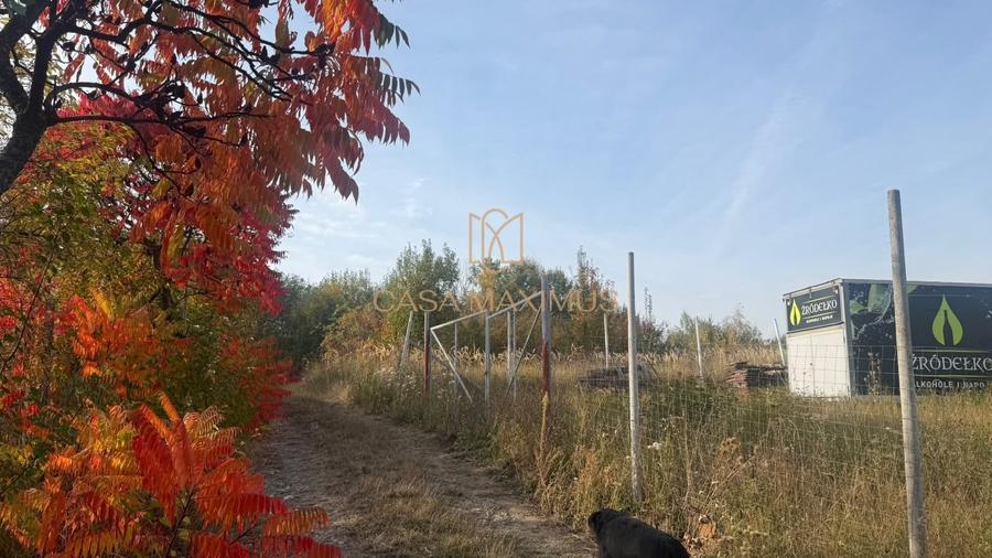 Teren Construcții extravilan de 930 mp, în Șura Mare