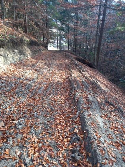 Teren intravilan de 22200 mp, în Lepșa