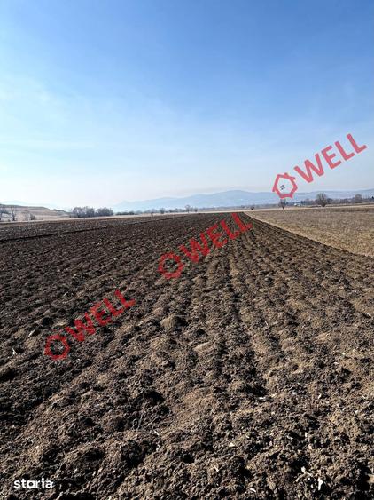Teren de 10750 mp, în Baraolt
