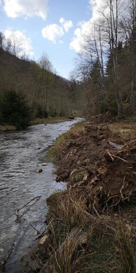 Teren de 2000 mp, în Sătic